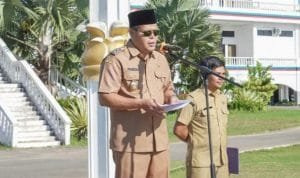 Wakil Bupati Labuhanbatu Selatan Pimpin Apel Gabungan IMG 20241022 112028