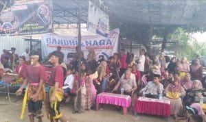 IMG 20241115 WA0103