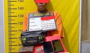 Polres Labuhanbatu Selatan Tangkap Pengedar Sabu di Desa Tanjung Medan IMG 20241114 000415