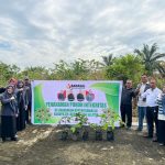 Bawaslu Labusel Tanam Pohon Manggis sebagai Simbol Pohon Kejujuran 