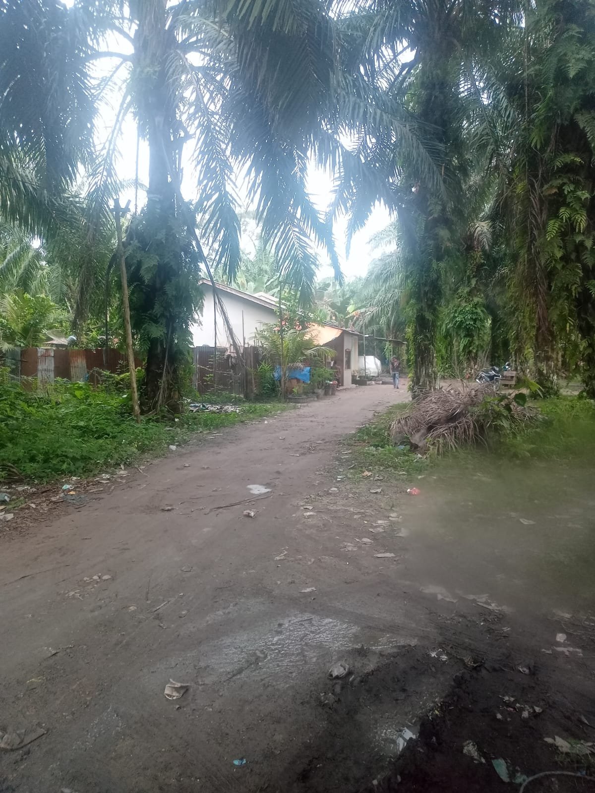 Warga Resah, Peredaran Narkoba Marak Di Bilah Hulu, Kasat Narkoba Polres Labuhanbatu Bungkam 1 IMG 20241221 WA0133