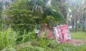 Warga Resah, Peredaran Narkoba Marak Di Bilah Hulu, Kasat Narkoba Polres Labuhanbatu Bungkam IMG 20241226 163025