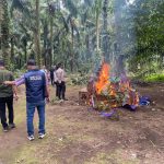 Barak Narkoba Kecamatan Sei Bingai Kabupaten Langkat Kembali Digerebek Polres Binjai
