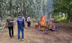 Barak Narkoba Kecamatan Sei Bingai Kabupaten Langkat Kembali Digerebek Polres Binjai IMG 20250131 WA0162