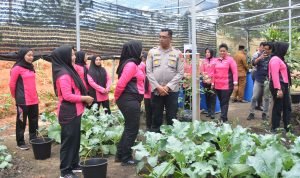 Kapolres Labusel dan Ketua Bhayangkari Launching Program Penguatan P2L: Perkuat Ketahanan Pangan Masyarakat IMG 20250224 WA0009