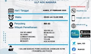 PLN Aek Nabara Akan Melakukan Pemadaman, Berikut Wilayah Yang Terdampak IMG 20250226 WA0005