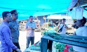 Pastikan Harga Sembako Stabil, Bupati Fery Tinjau Pasar (Pajak) Kotapinang IMG 20250307 WA0008