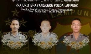 IMG 20250318 WA0001