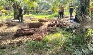 Warga Hinai Langkat Dihebohkan Penemuan Puluhan Bom Mortir IMG 20250627 WA0006
