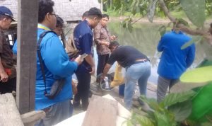 IMG 20250627 WA0007