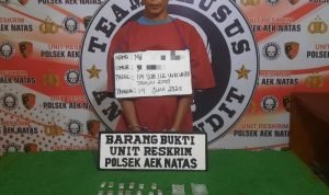 Polsek Aek Natas Berhasil Bekuk Pengedar Sabu, 13 Paket Sabu Diamankan IMG 20250616 212608