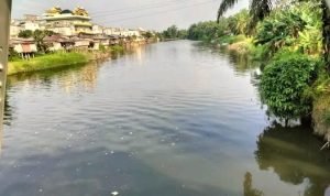 Warga Kecamatan Tanjung Pura Desak DLH Langkat Umumkan Hasil Uji Lab Pencemaran Limbah Sungai Batang Serangan IMG 20250702 WA0007