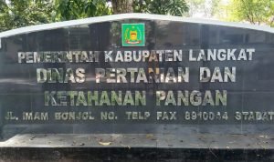 IMG 20250801 WA0009