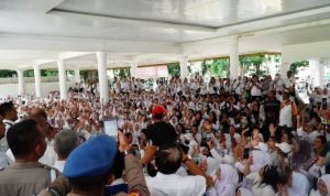 832 Orang TKS Kesehatan Langkat Mendapat Angin Segar Masuk P3K Paruh Waktu Orang