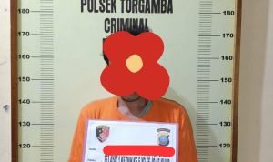 Polsek Torgamba
