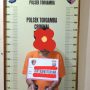 Polsek Torgamba