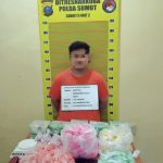 Polda Sumut Ungkap Jaringan Antarprovinsi, Sita 10 Kg Sabu, 24.000 Butir Ekstasi, dan 150 Butir H5