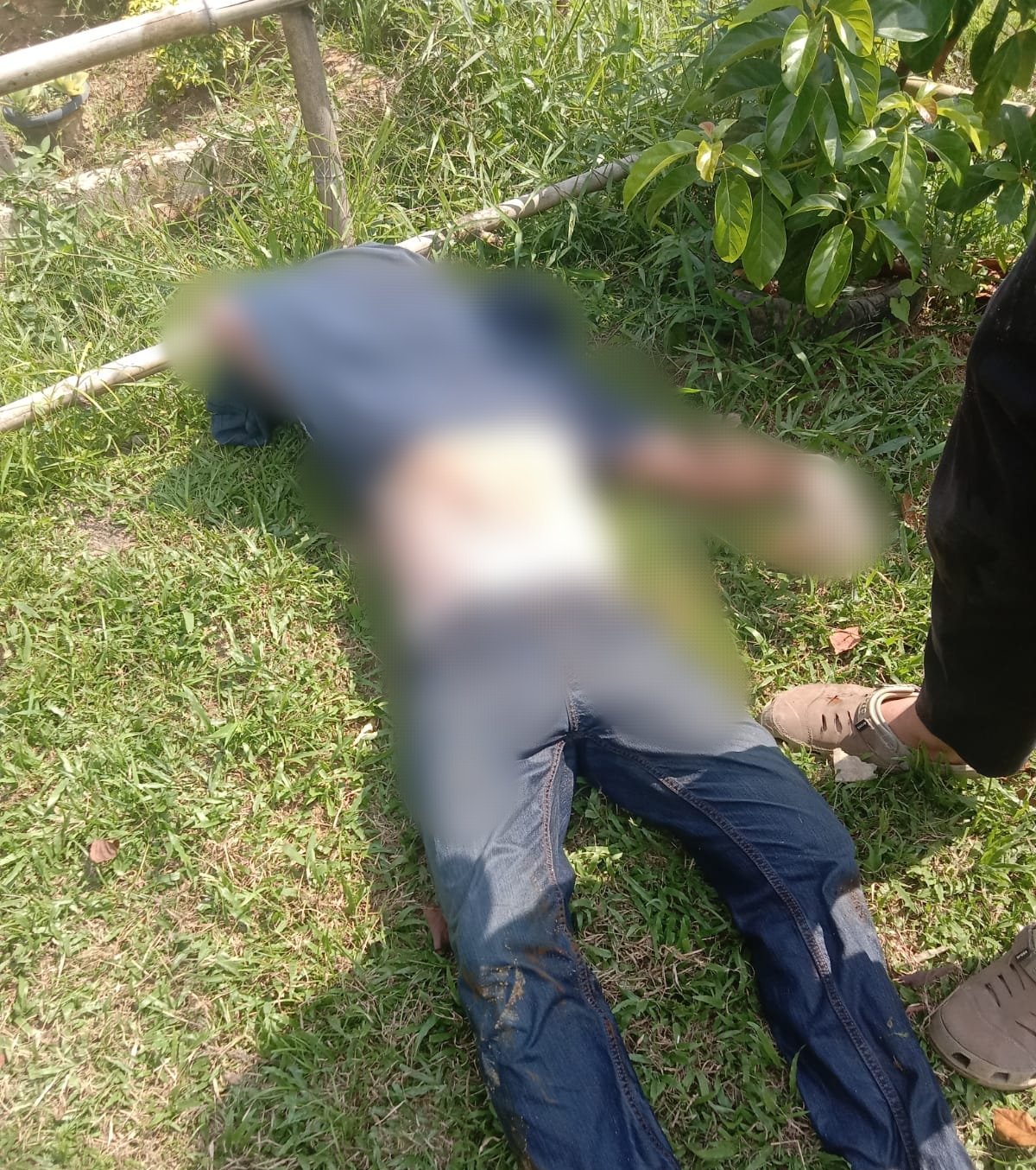 Ditemukan di Sumur Kebun, Wartawan Senior Babel Tewas Penuh Luka Sayatan 1 Kebun