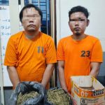 Aksi Nekat Sopir Truk Tabrak Polisi di Aek Kanopan, Ternyata Bawa Ganja 1,4 Kg