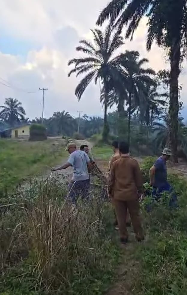 Masyarakat
