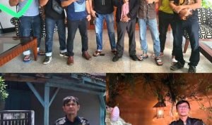 Lakukan Pencurian Sarang Walet, Herman dan 3 orang Pelaku Lainnya Ditetapkan Sebagai Tersangka di Polda Sumut Sarang Walet
