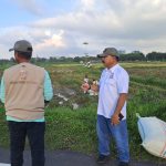 Tani Merdeka Indonesia Deli Serdang Ubah Lahan Kosong Jadi Lumbung Pangan Produktif