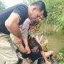 Sungai