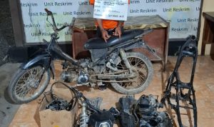 Polsek Bilah Hilir Ringkus Pencuri Motor Trail di Desa Senah