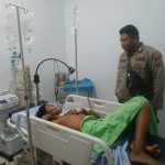 Seekor Monyet Liar Kembali Gigit Warga Pangkalan Brandan