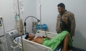 Seekor Monyet Liar Kembali Gigit Warga Pangkalan Brandan Monyet