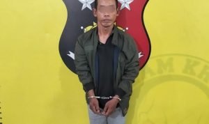Polsek Kualuh Hulu