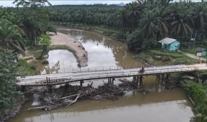PalmCo Perbaiki Jembatan Sungai Sosa, Penghubung Vital 13 Desa di Padang Lawas IMG 20251001 WA0031