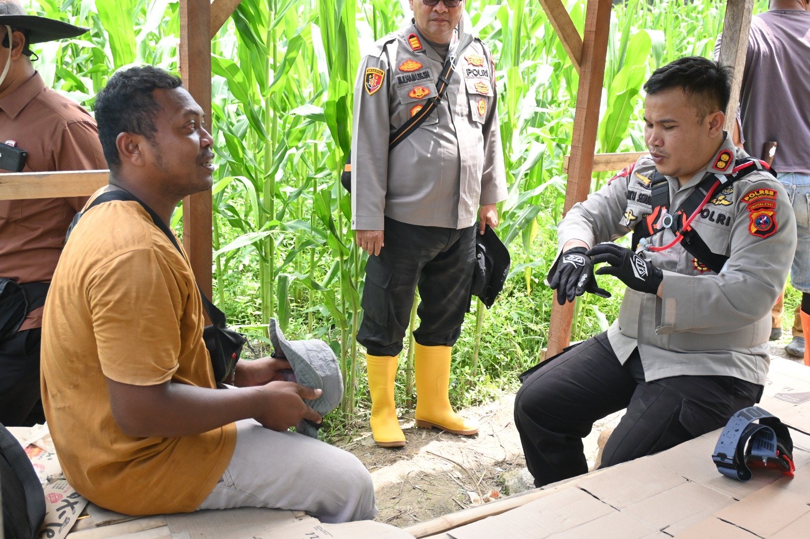 Kapolres Labusel Tinjau Penanaman Jagung Serentak Kuartal IV di Kampung Rakyat: Dorong Swasembada Pangan dan Kemandirian Petani 1 Kapolres