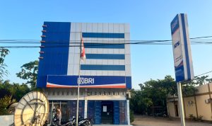 BRI Tegaskan Integritas Penyaluran KUR di Ajamu, Pencairan Wajib Sesuai Prosedur