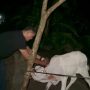 IMG 20251102 WA0011