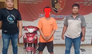 Polsek Torgamba