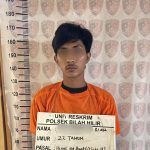 Polsek Bilah Hilir Ringkus Pengedar Sabu di Areal Perkebunan Desa Sei Tampang