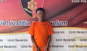 Polsek Bilah Hilir Tangkap Pelaku Pencurian Dua Unit Handphone di Barak Karyawan PT Cisadane IMG 20251114 220129