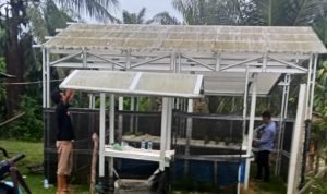 Program Hidroponik Desa S-5 Dorong Kemandirian Pangan Warga IMG 20251122 204439