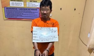 Edarkan Sabu di Perkebunan Sawit, Pai Diringkus Polsek Bilah Hilir IMG 20251123 214855