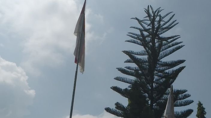 Bendera
