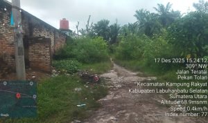 TimePhoto 20251217 152412