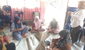 Pemerintah Desa N-7 Aek Nabara Gelar Pelatihan Keterampilan untuk Dorong Ekonomi Masyarakat IMG 20260107 WA0004