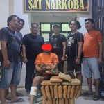 Perang Terhadap Pelaku Narkoba, Polres Labusel Tembak Bandar Yang Bawa 26 Kg Ganja