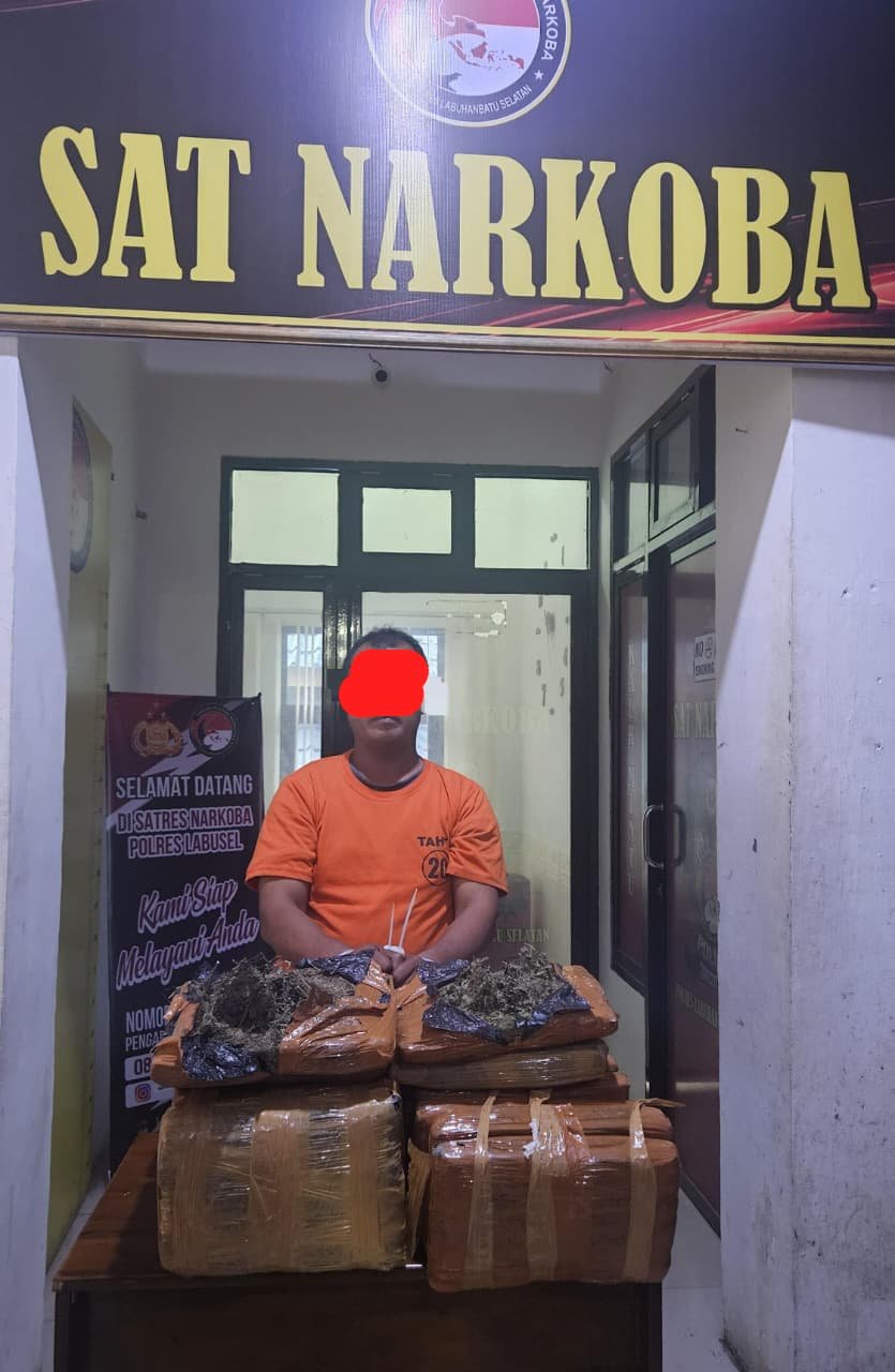 Perang Terhadap Pelaku Narkoba, Polres Labusel Tembak Bandar Yang Bawa 26 Kg Ganja 1 Narkoba