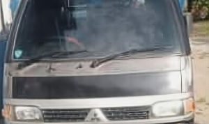 Pendamping Desa S-5 Aek Nabara Diduga Menahan Mobil BUMDes, Warga Desak Pengembalian IMG 20260113 WA0005