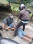 IMG 20260115 WA0017