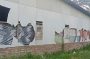 IMG 20260116 WA0005