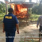 Polsek Bilah Hulu Grebek Sarang Narkoba Di Dusun Tanjung Siram Pekan