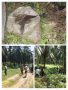IMG 20260209 WA0105